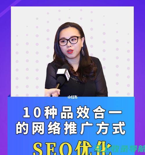 SEO专家解读：网站推广公司如何运用SEO技巧提高流量